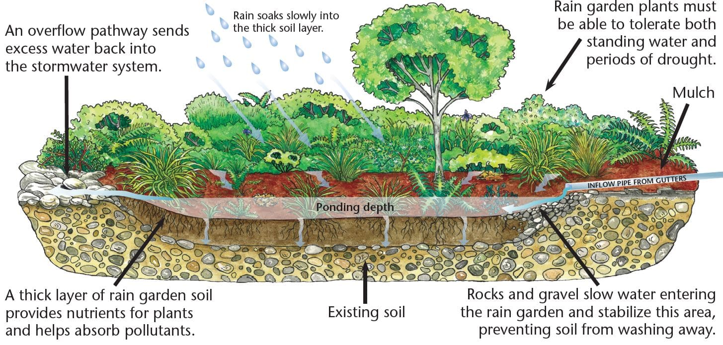 Stormwater Management - City of Tacoma