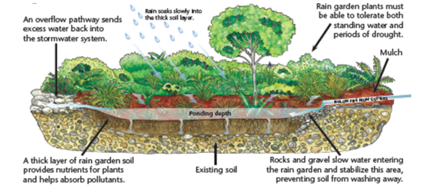 Stormwater Management - City Of Tacoma