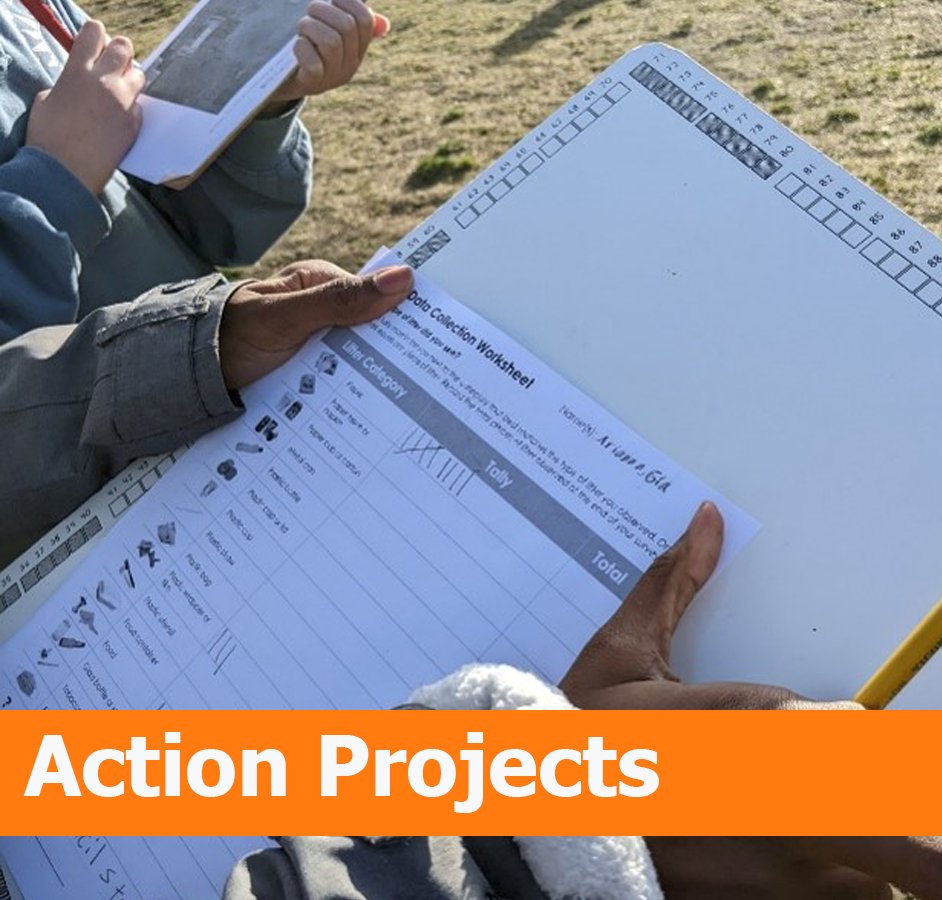 Action Projects